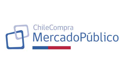 mercado-publico